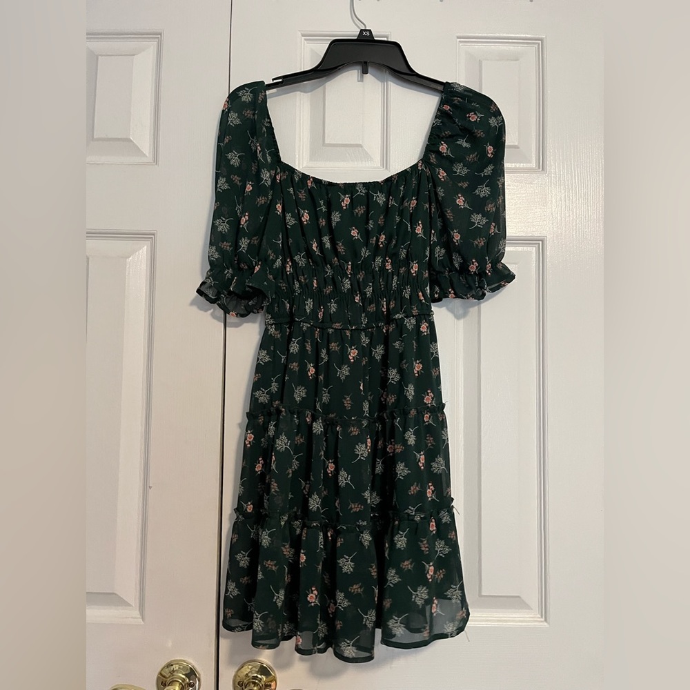 Francesca’s Dress